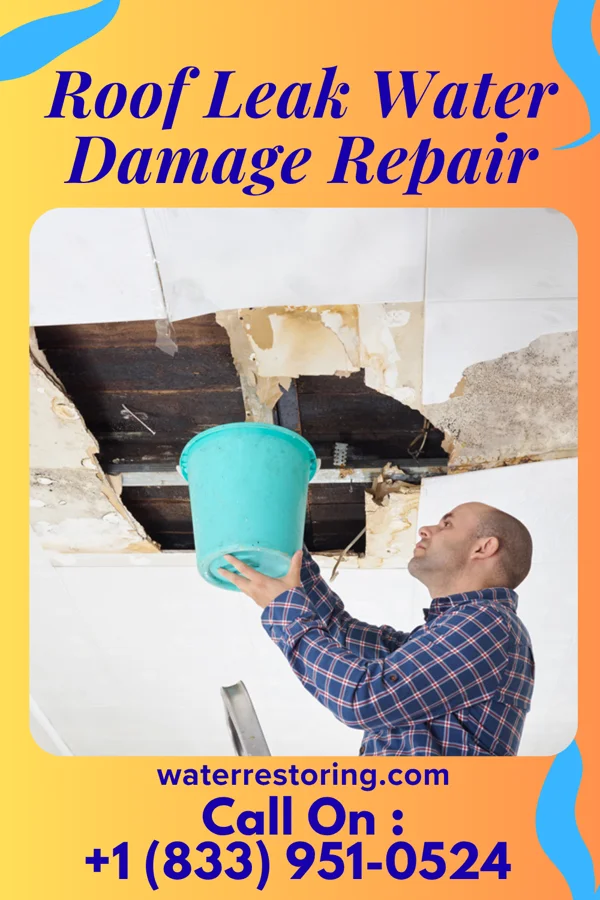 Roof Leak Water Damage Repair in Orchards, WA
